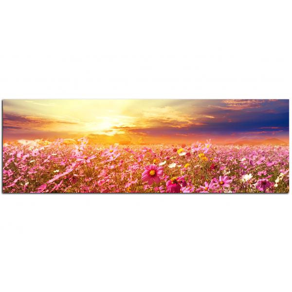 Obraz na plátně - Farební louka při západu slunce - panoráma